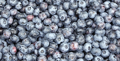 Heidelbeerexport aus Georgien übersteigt 6.000 Tonnen in 2025