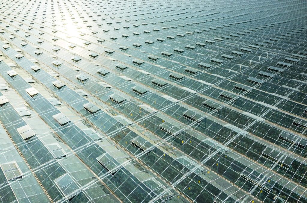 Agrozona cover image