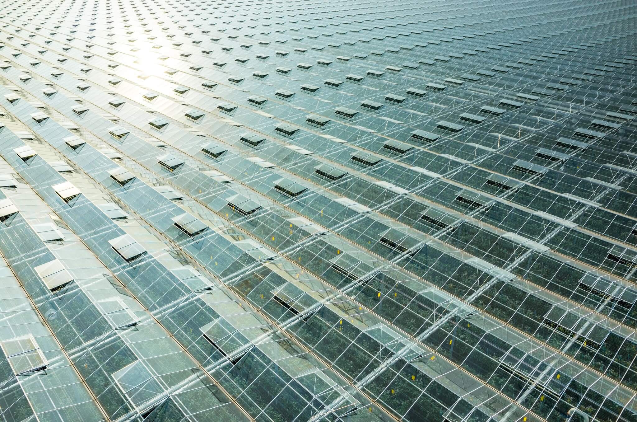 Agrozona cover image