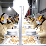 Anigozi Working Process