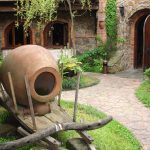 Cooperative Ruispiri Cover