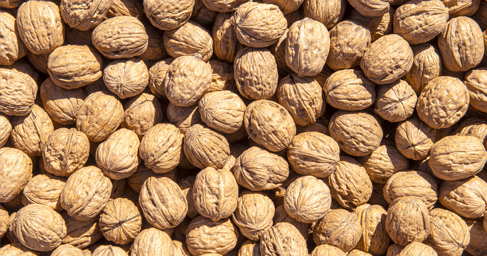 LLC Anigozi Cover image