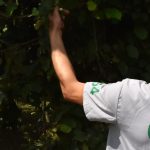 LLC Georgian Product Renaissance (GPR) Cover