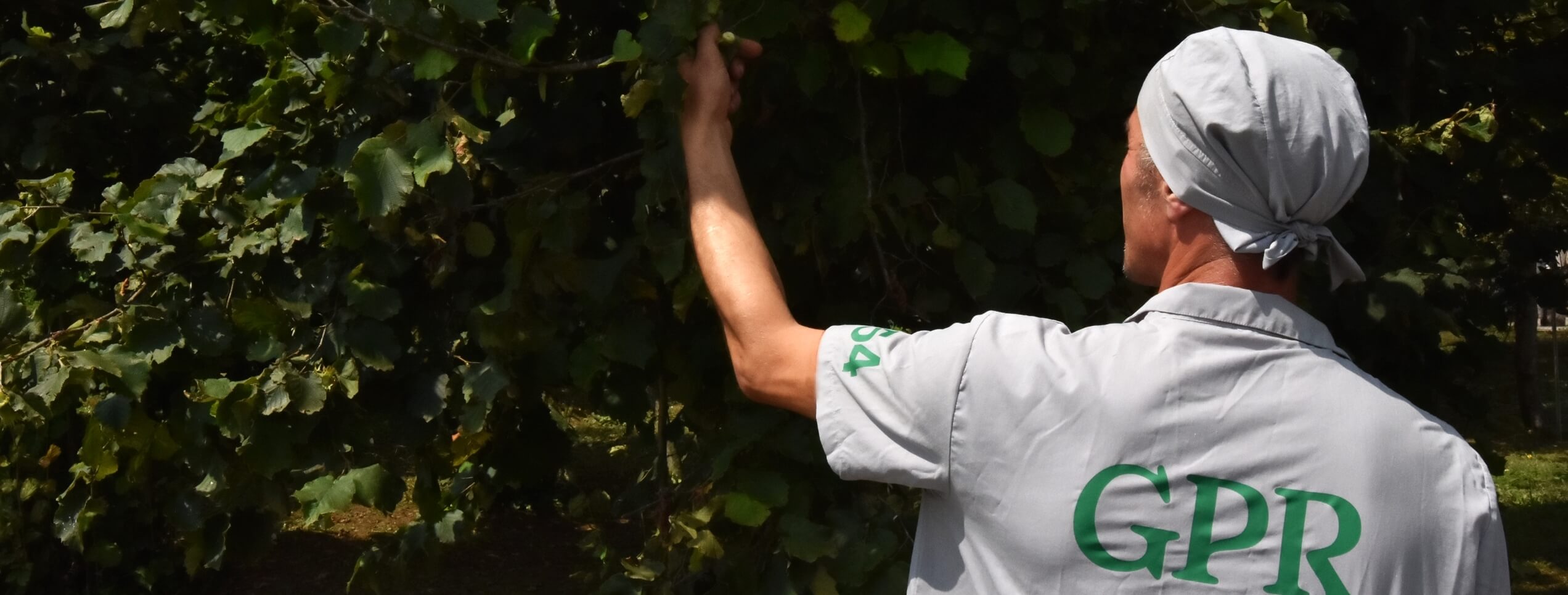 LLC Georgian Product Renaissance (GPR) Cover