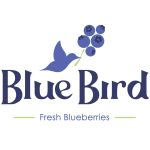 LTD Blue Bird Berries Logo