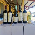 LTD Brothers Khutsishvili #2