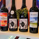 LTD CHATEAU NEKRESI Cover