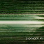 LTD Marneuli Food Factory #2