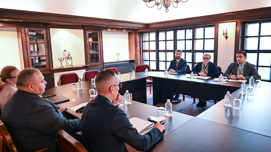 Ingā P'khaladze diskutierte georgische Energieprojekte mit dem Direktor des Energiezentrums des UNDP