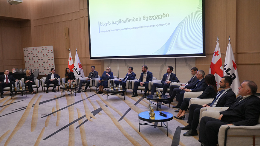 Inga Pchaladze: Ambitionierte Pläne für die georgische Energiepolitik