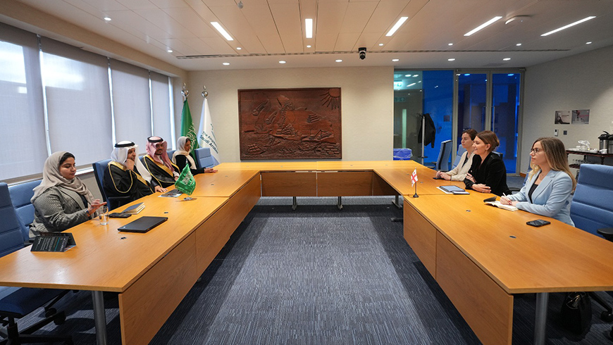 Tamara Ioseliani bespricht Zusammenarbeit im maritimen Transport mit dem stellvertretenden Minister Saudi-Arabiens