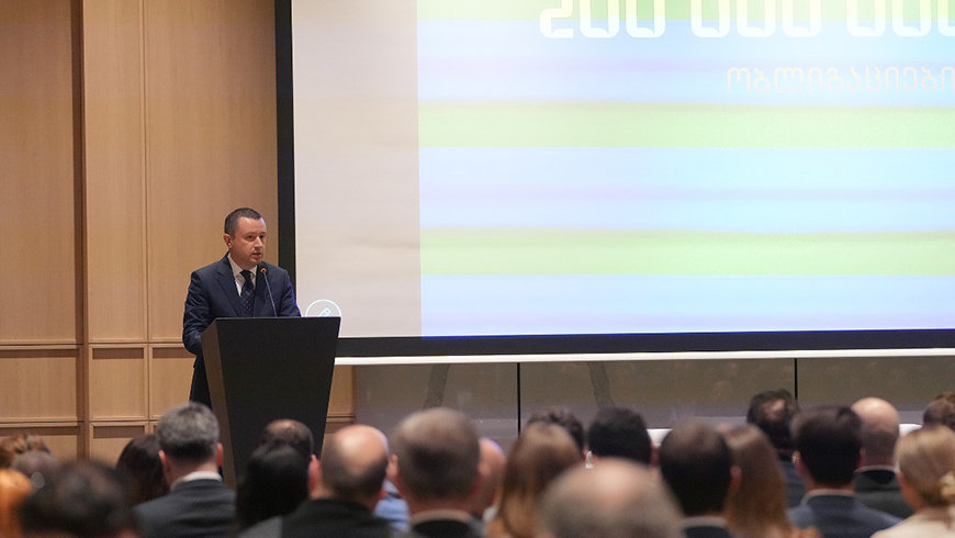 Irakli Nadareishvili: Wir haben eine schnell wachsende Wirtschaft und einen privaten Sektor, der mehr Flexibilität bei der Kapitalbeschaffung benötigt