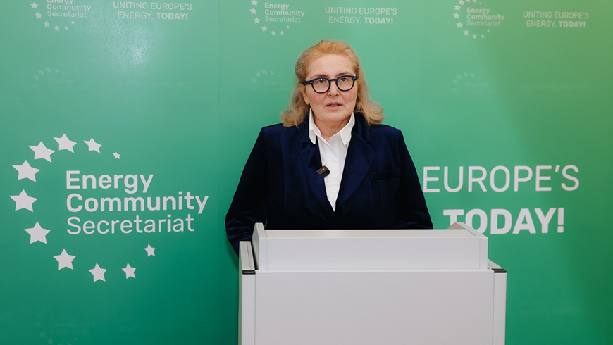 Inga Pchaladze nahm an der Ministerkonferenz der Energiegemeinschaft Europas teil