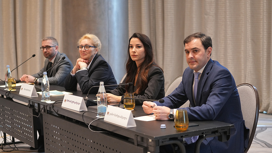 Mariami Kwiriszwili: Unser Ziel ist es, die Abhängigkeit von Energieimporten zu verringern und eine vollständige Energieautarkie zu erreichen