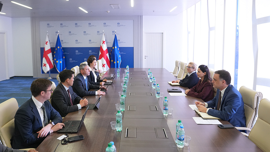 Mariami Kvrivishvili erörtert Prioritäten der Zusammenarbeit mit dem Internationalen Währungsfonds