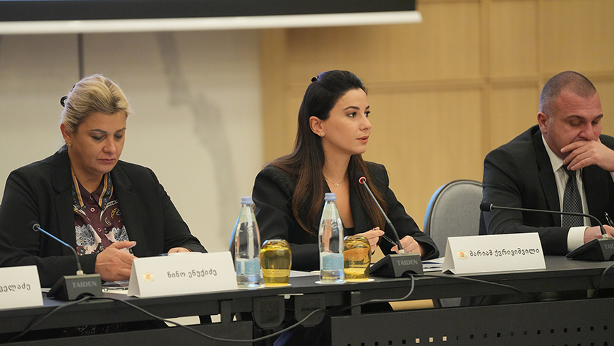 Mariami Kvirivashvili: „Für alle Regionen Georgiens werden wir individuelle Projekte haben, die ästhetischen Merkmale von Gebäuden werden bestimmt, die im Einklang mit ihrer Geschichte, Bebauung und ordnungsgemäßer Planung stehen“