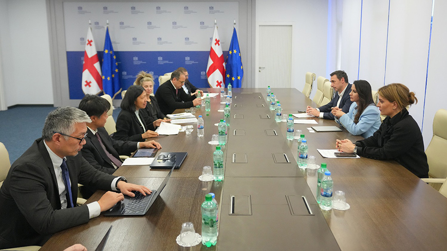 Mariam Kvirivshvili diskutiert bedeutende Infrastrukturprojekte mit Vertretern der Asiatischen Entwicklungsbank