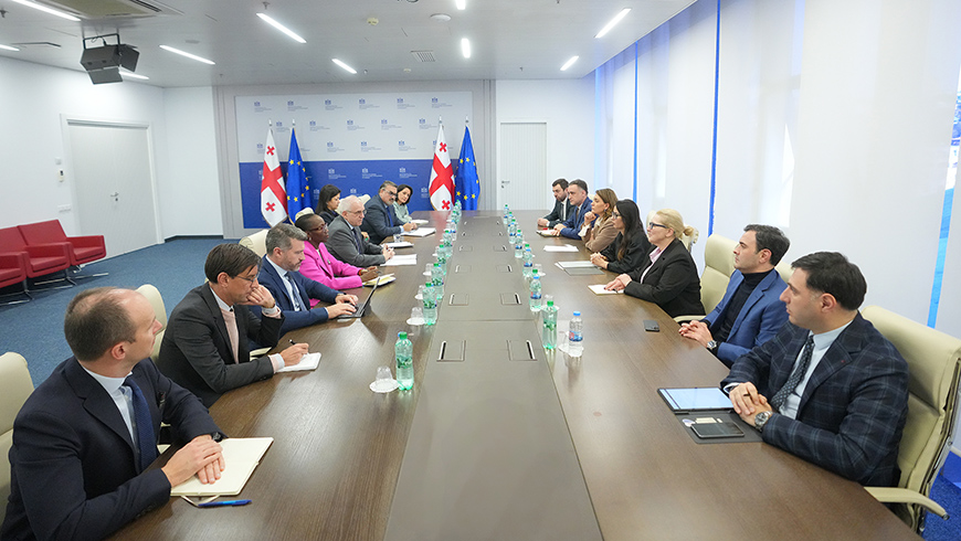 Mariami Kvrivischwili bespricht Zusammenarbeit mit der Weltbank