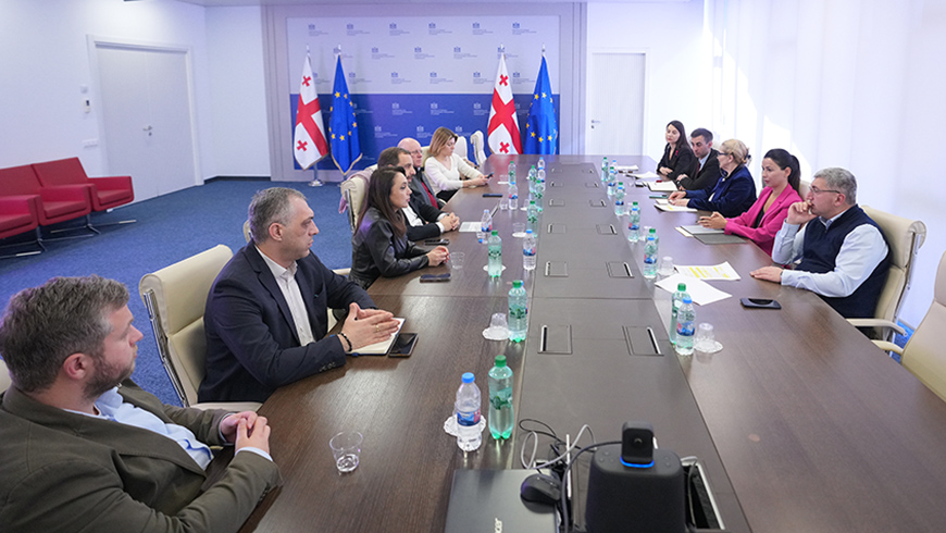 Mariami Kwriwischwili erörtert Gesetzesentwurf zur Verteilung der von Elektrizitätswerken gezahlten Grundsteuer mit GREDA-Vertretern