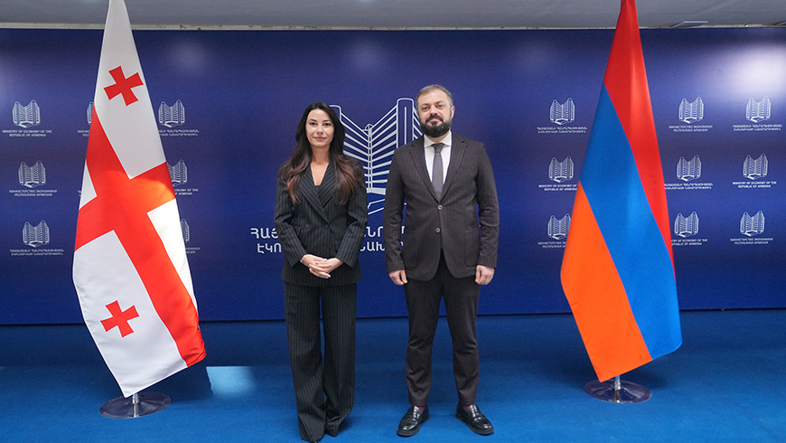 Mariame Kwriwischwili: „Das Treffen mit dem Wirtschaftsminister Armeniens wird eine weitere wichtige Grundlage für die Vertiefung der wirtschaftlichen Beziehungen zwischen den Ländern sowie für die Verbindungen zwischen den Völkern sein“