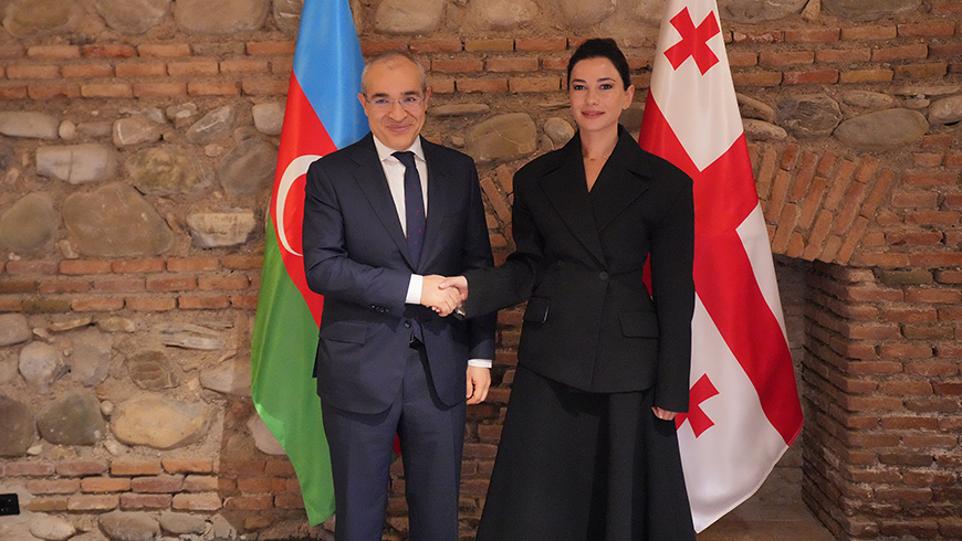 Mariami Kwirwischwili diskutiert mit Mikhael Dschabarow über wirtschaftliche Beziehungen