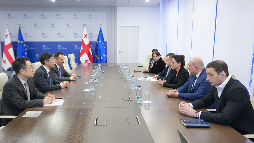 Mariami Kvrivischwili bespricht Möglichkeiten der künftigen Zusammenarbeit mit Delegation von Samsung