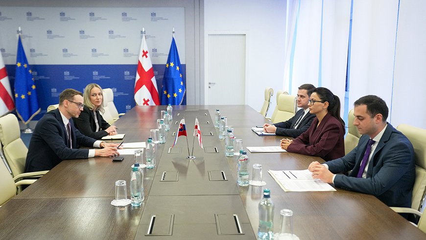 Mariam Kvrivishvili spricht mit dem slowakischen Botschafter über Handels- und Wirtschaftsbeziehungen