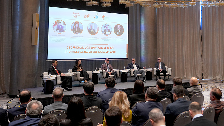 Mariam Kvrivishvili: „Positive Entwicklungen im Energiesektor, der Staat unterstützt weiterhin alle Investoren und Entwickler“