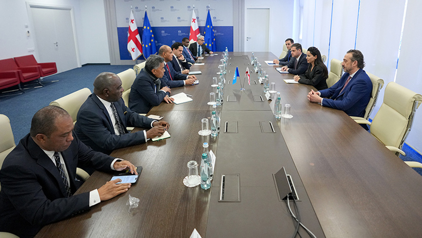 Mariami Kwirwischwili traf mit den ständigen Vertretern der UN zusammen