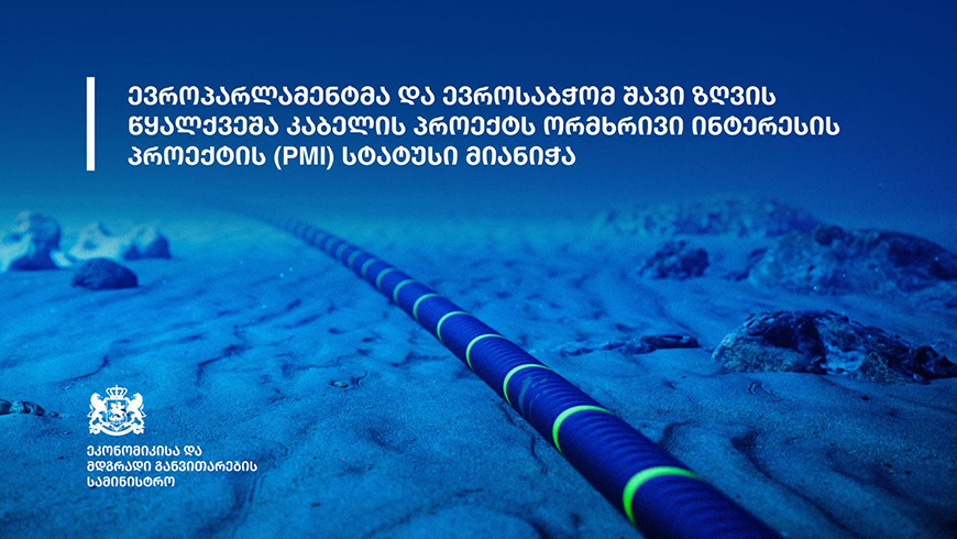 Europäisches Parlament und Europarat verleihen Status eines bilateralen Interesses für das Projekt des Unterwasser-Kabels im Schwarzen Meer