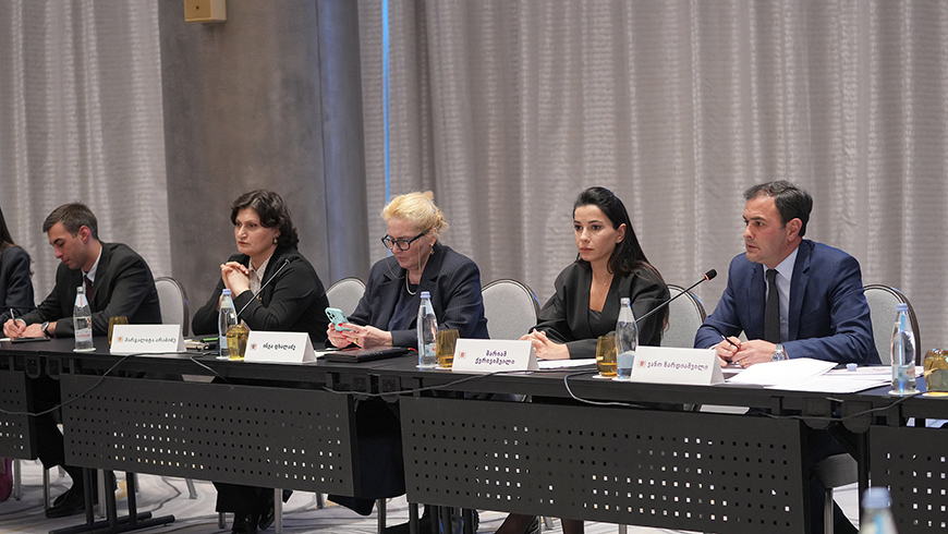 Mariam Kvirivischwili diskutierte mit Wissenschaftlern und Experten Pläne zur Entwicklung des Energiesektors