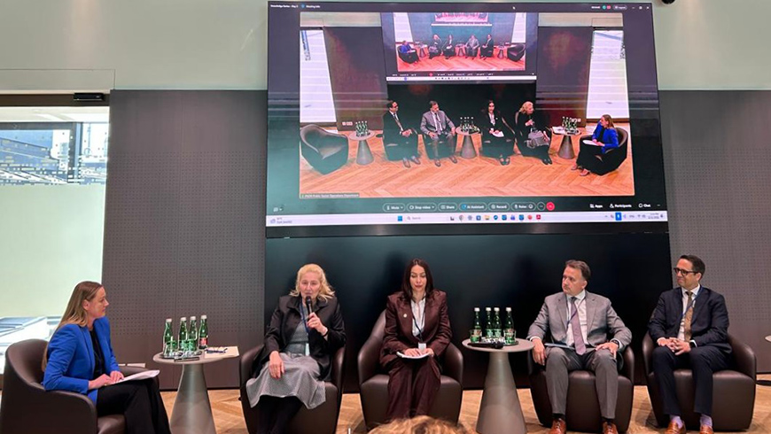 Inga Pkhaladze nahm an einer Konferenz zu Fragen der Finanzierung der Energiesicherheit in Wien teil