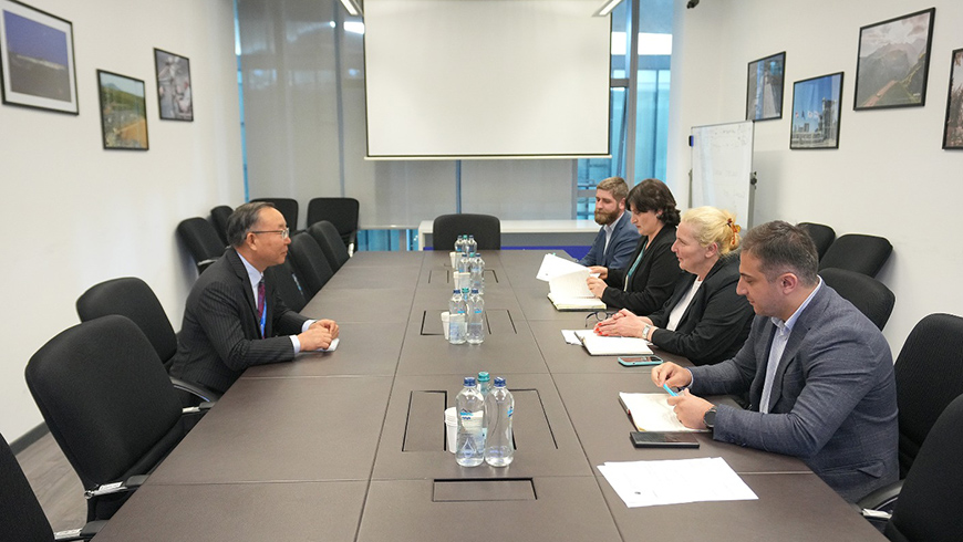 Inga Pchaladze diskutiert mit dem Direktor der UNESCAP-Abteilung für Energie über Energieeffizienz und Entwicklung erneuerbarer Energien