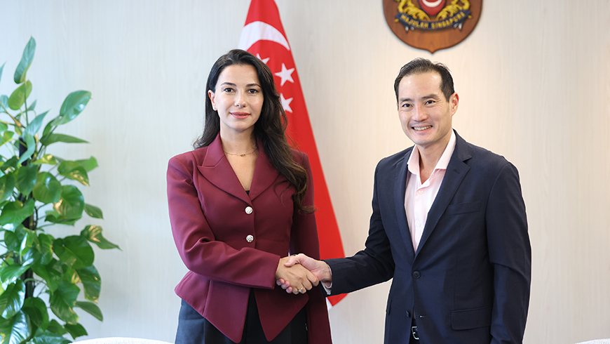 Mariam Kvirivschwili trifft Singapurs Staatsminister für digitale Entwicklung Tan Kiat How