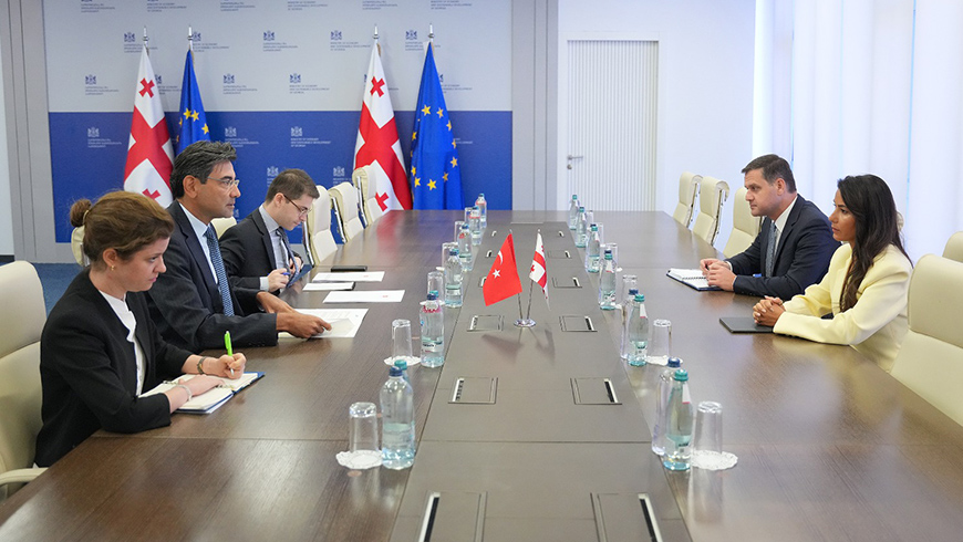 Mariam Kvirivshvili trifft den Botschafter der Republik Türkei Mustafa Türker in Georgien